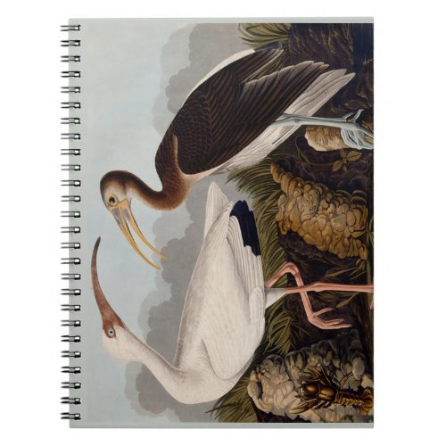 Audubon White Ibis Bird Wildlife Notebook