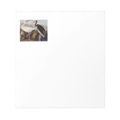 Audubon White Ibis Bird Wildlife Notepad