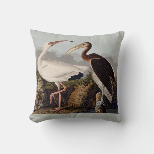 Audubon White Ibis Bird Wildlife Throw Pillow (Front)