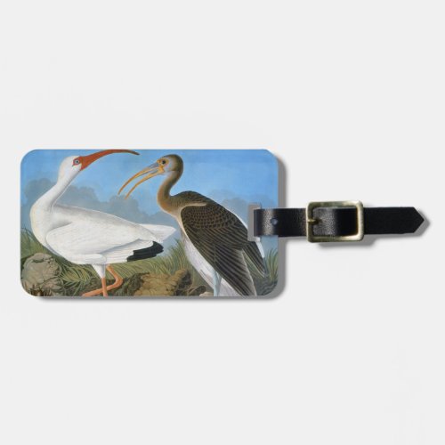 Audubon White Ibis Luggage Tag