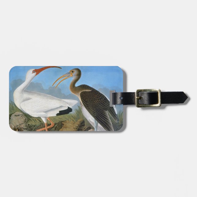 Audubon: White Ibis Luggage Tag (Front Horizontal)