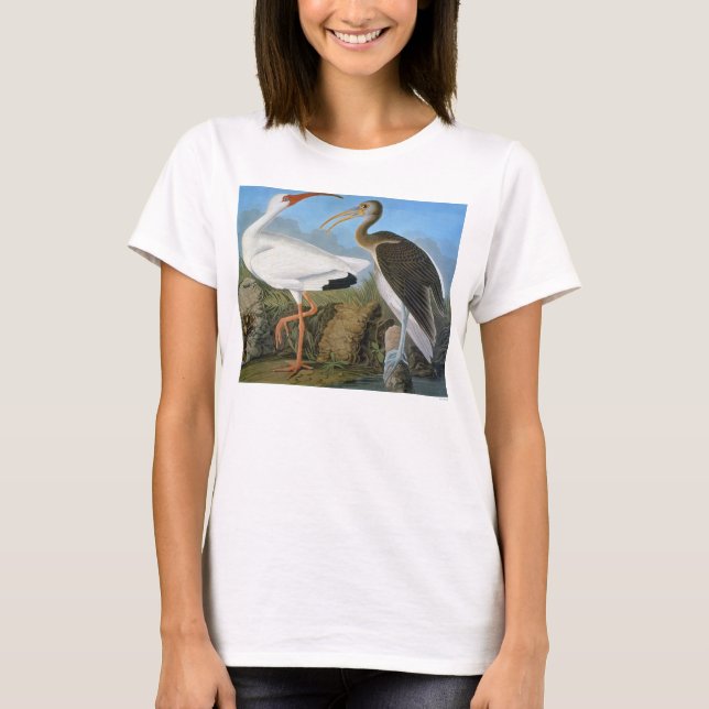 Audubon: White Ibis T-Shirt (Front)