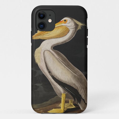 Audubon White Pelican Bird America iPhone 11 Case