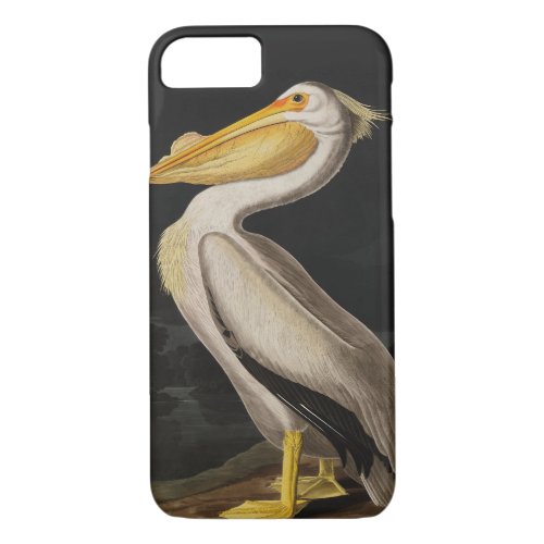 Audubon White Pelican Bird America iPhone 87 Case