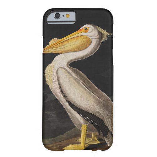 Audubon White Pelican Bird America Barely There iPhone 6 Case