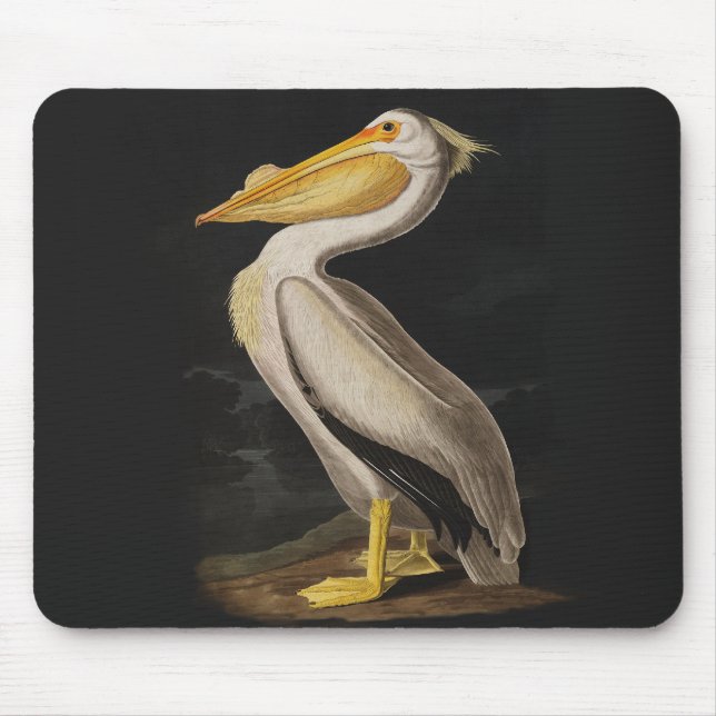 Audubon White Pelican Bird America Mouse Pad (Front)