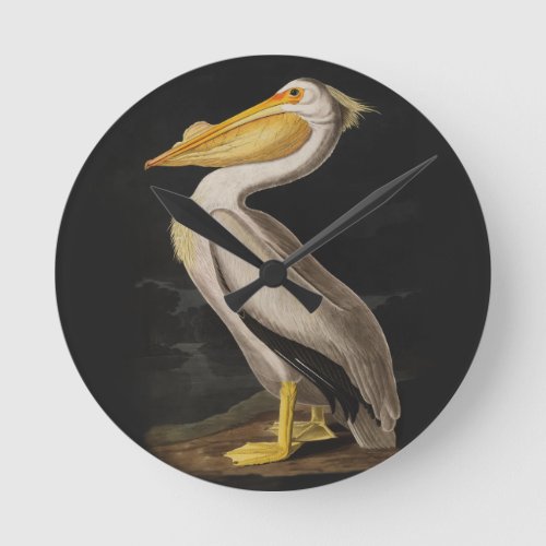 Audubon White Pelican Bird America Round Clock