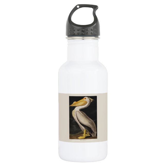 Audubon White Pelican Bird America Stainless Steel Water Bottle (Front)