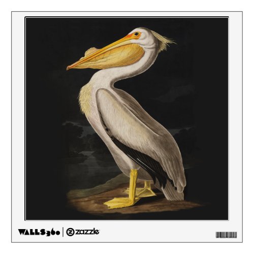 Audubon White Pelican Bird America Wall Sticker