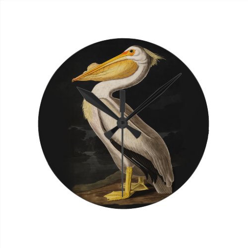 Audubon White Pelican Bird Vintage Print Round Clock