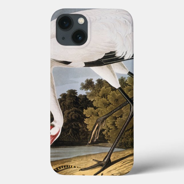 Audubon: Whooping Crane Case-Mate iPhone Case (Back)