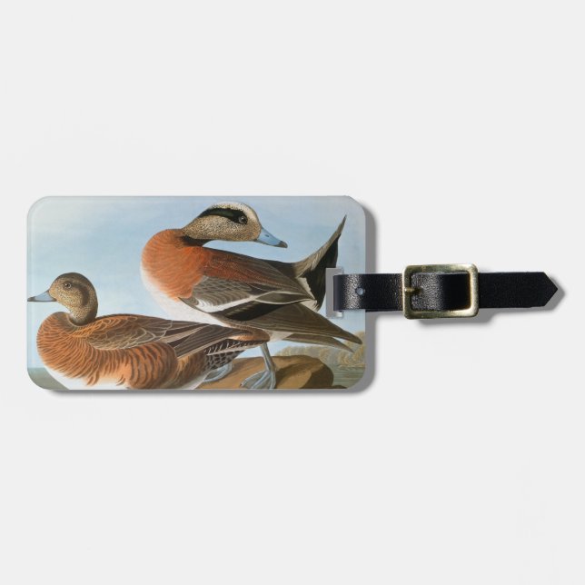 Audubon: Wigeon Luggage Tag (Front Horizontal)
