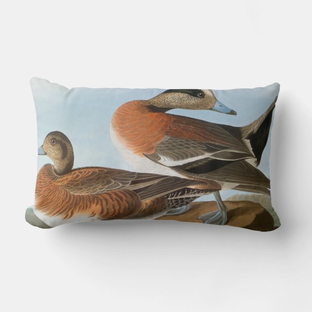 Audubon: Wigeon Lumbar Pillow (Front)
