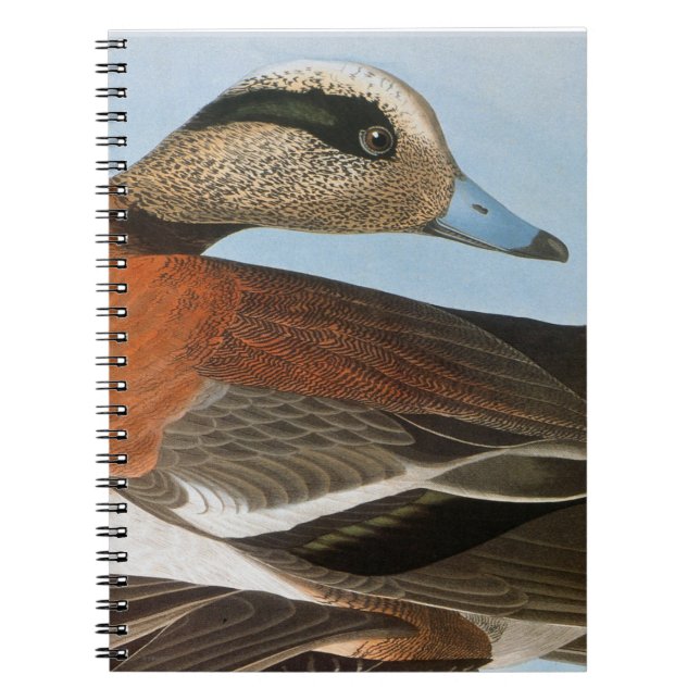 Audubon: Wigeon Notebook (Front)