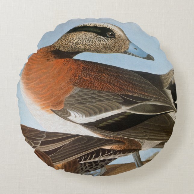 Audubon: Wigeon Round Pillow (Front)
