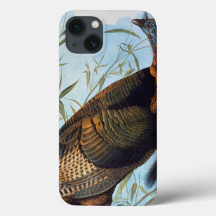 Audubon: Wild Turkey iPhone 13 Case