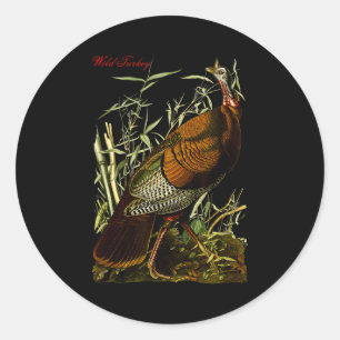 Audubon Wild Turkey North American Birds Education Classic Round Sticker