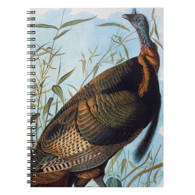 Audubon: Wild Turkey Notebook (Front)