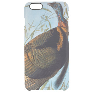 Audubon: Wild Turkey Clear iPhone 6 Plus Case