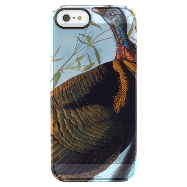 Audubon: Wild Turkey Uncommon iPhone Case (Back)