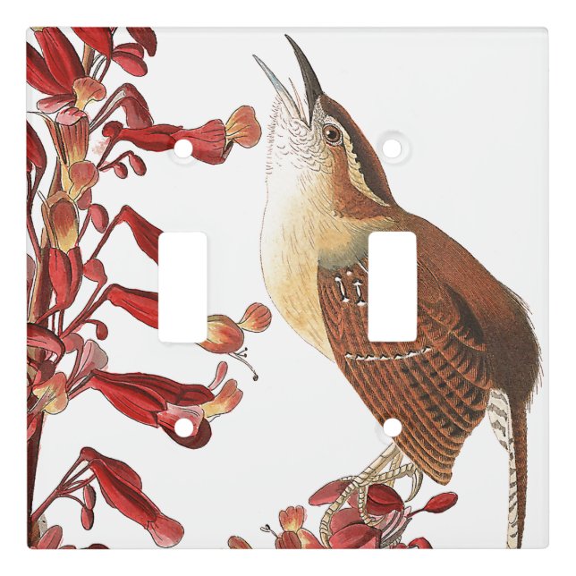 Audubon Wren Bird Wildlife Light Switch Cover (Front)