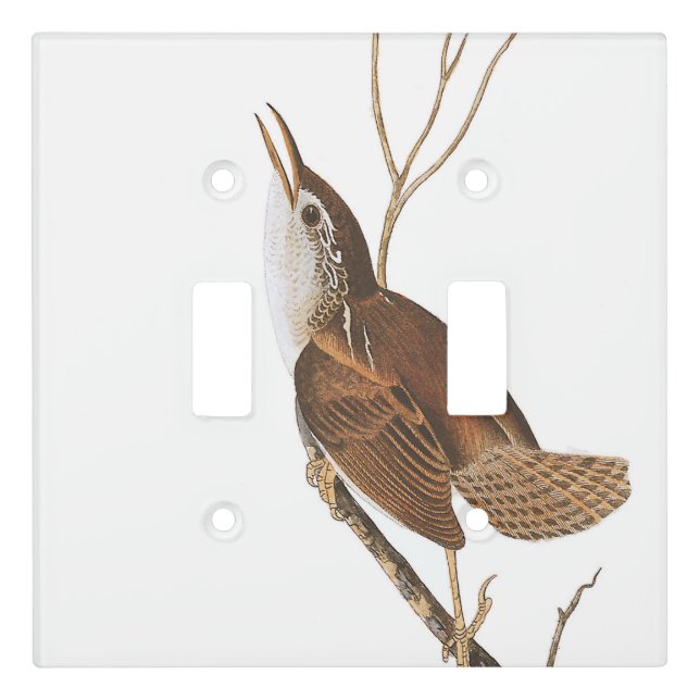 Audubon Wren Bird Wildlife Light Switch Cover (Front)