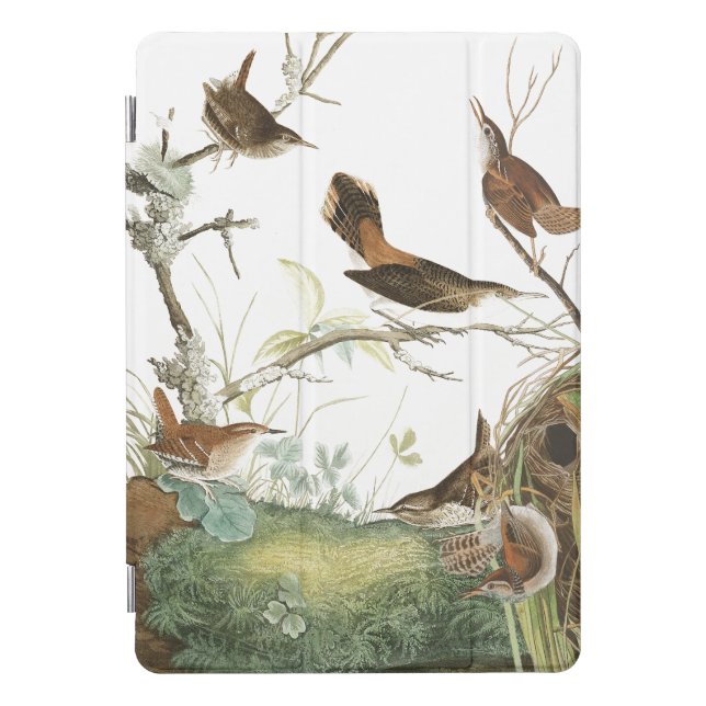 Audubon Wren Birds Wildlife Animal iPad Pro Case (Front)