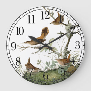 Audubon Wren Birds Wildlife Animal Wall Clock