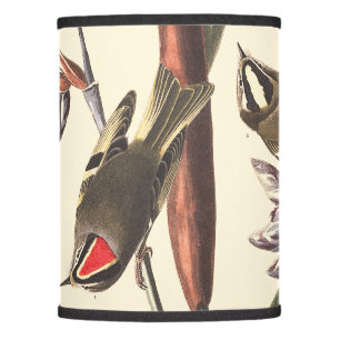 Audubon Wren Birds Wildlife Animals Table Lamp