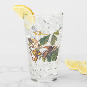 Audubon Yellow-Billed Cuckoo Birds in Fruit Tree Glass