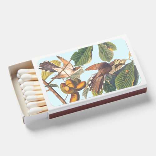 Audubon Yellow_Billed Cuckoo Birds in Fruit Tree Matchboxes