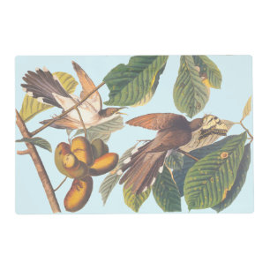 Audubon Yellow-Billed Cuckoo Birds in Fruit Tree Placemat