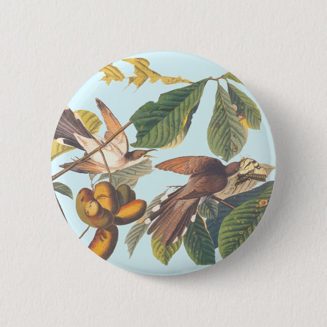 Audubon Yellow Billed Cuckoo Button (Front)