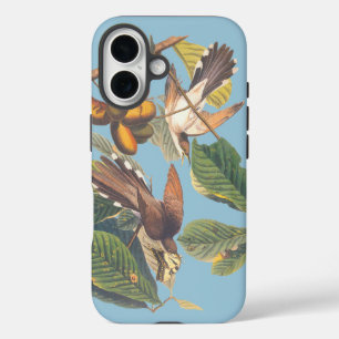 Audubon Yellow Billed Cuckoo iPhone 16 Case