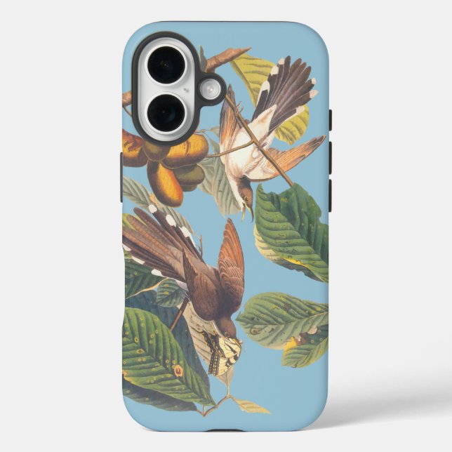 Audubon Yellow Billed Cuckoo Case-Mate iPhone Case (Back)