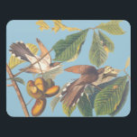 Audubon Yellow Billed Cuckoo Door Sign<br><div class="desc">This charming reproduction of John James Audubon’s Yellow-Billed Cuckoo captures an "odd couple" of free-spirited birds, each quirky in their own way yet perfectly matched as they chase their dreams together. Depicting a pair of yellow-billed cuckoos "chasing butterflies" through a tropical fruit tree, this artwork celebrates the beauty of two...</div>