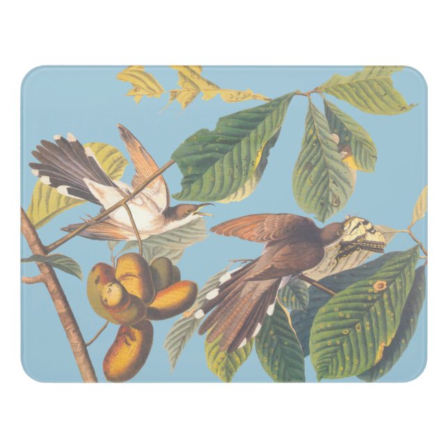Audubon Yellow Billed Cuckoo Door Sign (Contemporary Front)