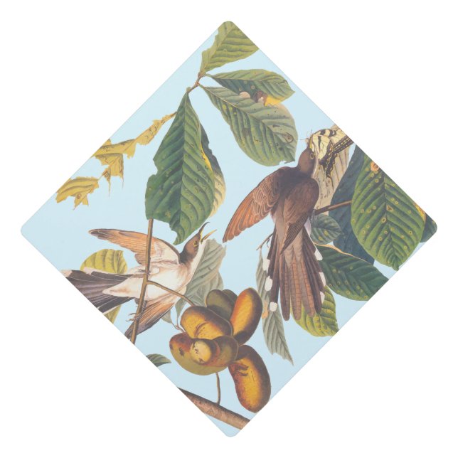 Audubon Yellow Billed Cuckoo Graduation Cap Topper (Front)