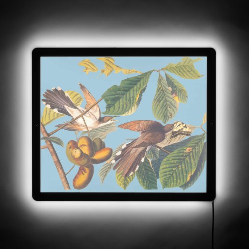 Audubon Yellow Billed Cuckoo LED Sign