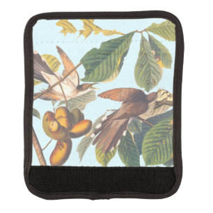Audubon Yellow Billed Cuckoo Luggage Handle Wrap