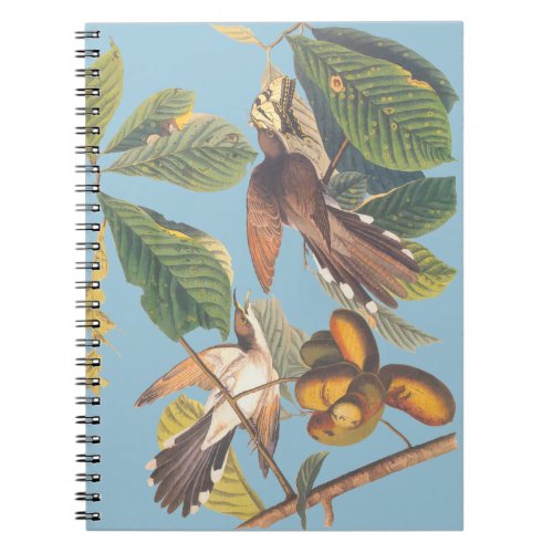 Audubon Yellow Billed Cuckoo Mini Clipboard Notebook