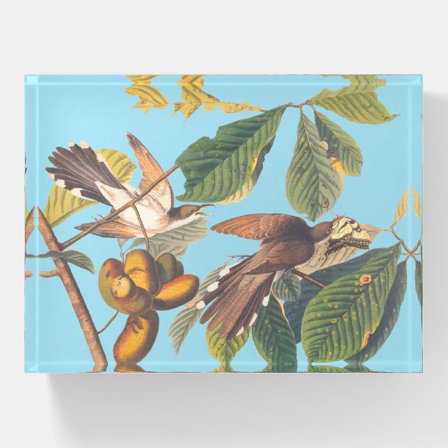 Audubon Yellow Billed Cuckoo Mini Clipboard Paperweight (Front)