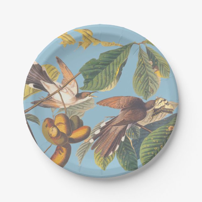 Audubon Yellow Billed Cuckoo Paper Plates (Front)