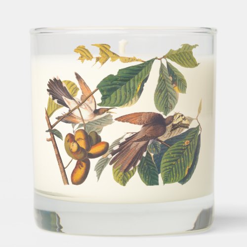 Audubon Yellow Billed Cuckoo Scented Candle