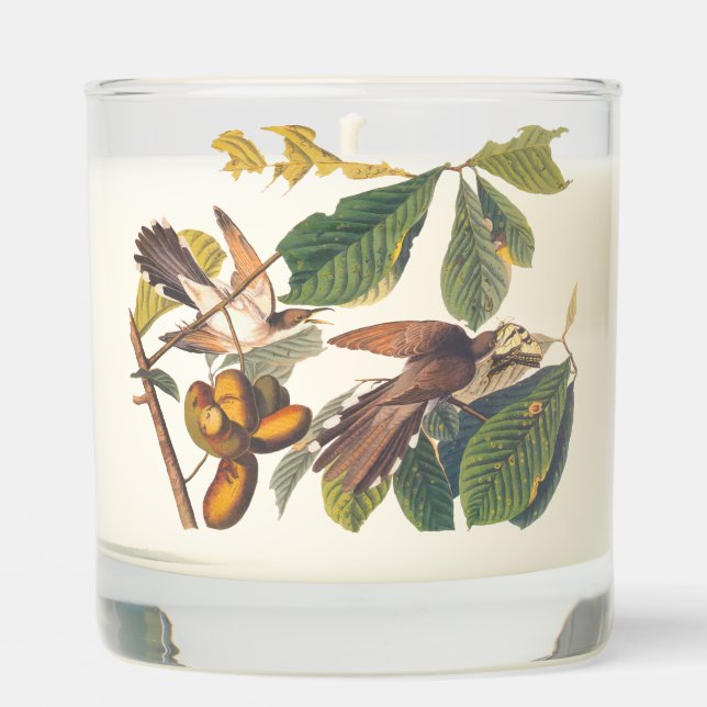 Audubon Yellow Billed Cuckoo Scented Candle (Front)