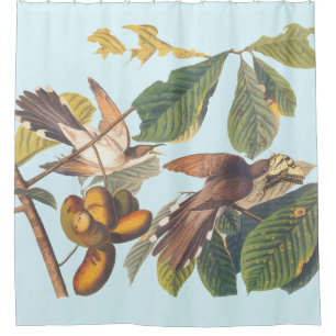 Audubon Yellow Billed Cuckoo Shower Curtain