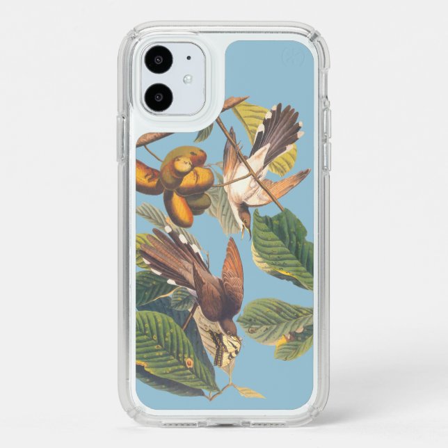 Audubon Yellow Billed Cuckoo Speck iPhone 11 Case (Front (White Phone))