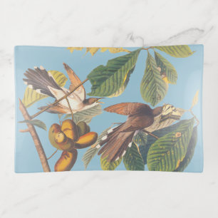 Audubon Yellow Billed Cuckoo Trinket Tray