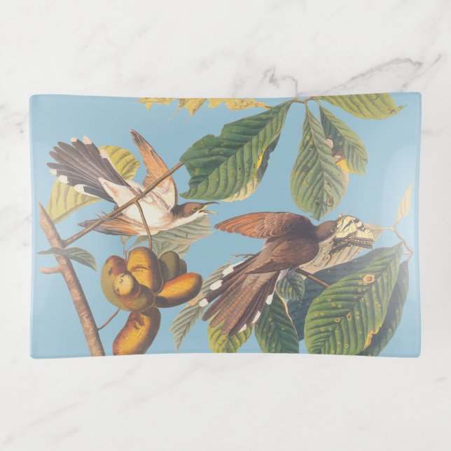 Audubon Yellow Billed Cuckoo Trinket Tray (Front)