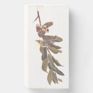 Audubon Yellow throated Warbler Song Bird Wooden Box Sign